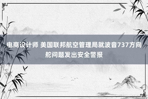 电商设计师 美国联邦航空管理局就波音737方向舵问题发出安全警报